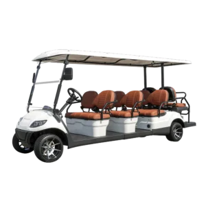A617.6+2 golf cart